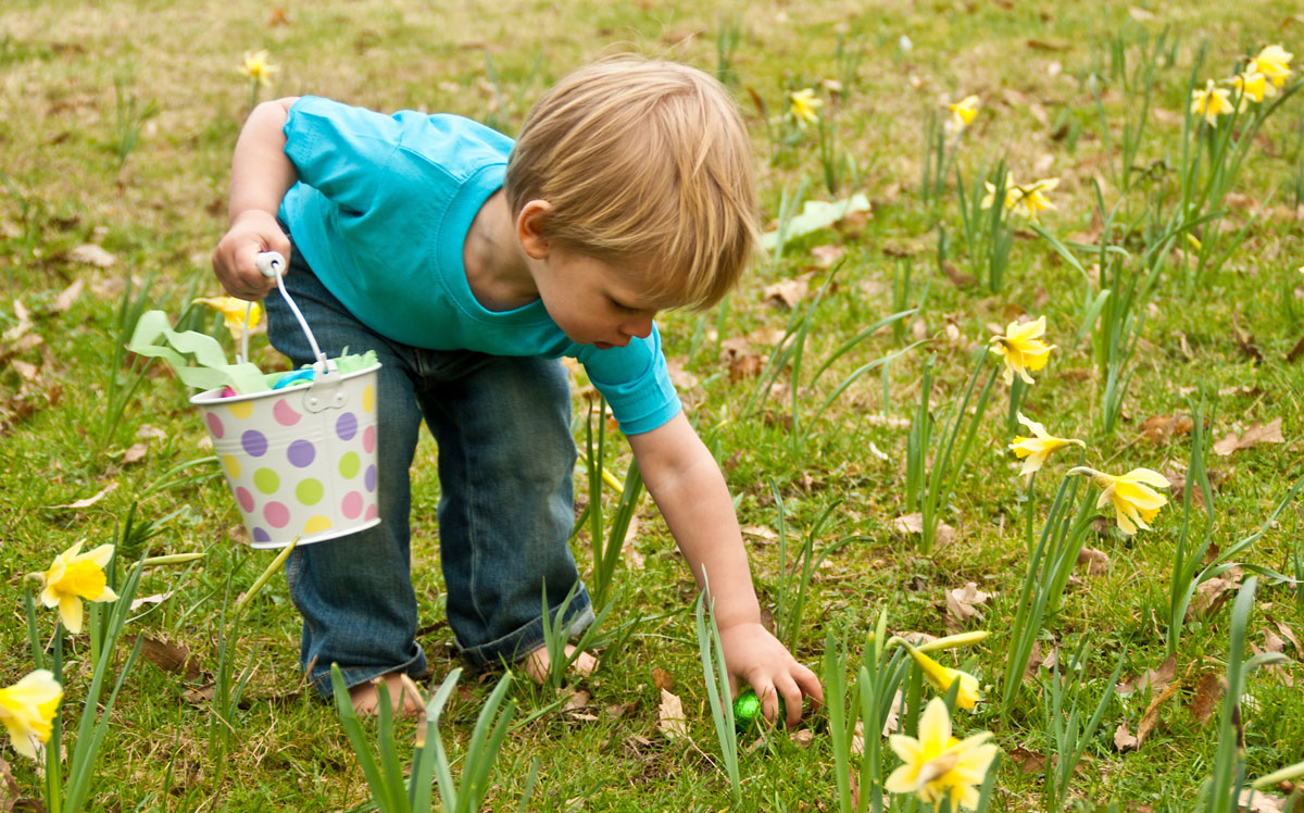 Meet the Bunny, Hunt for Eggs and Lots More at These St. Louis Area